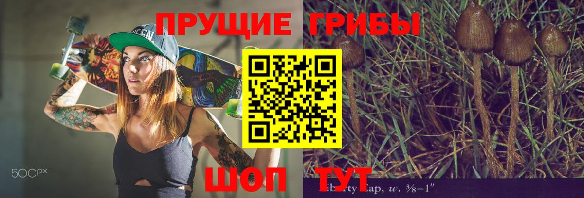 Южно-Сахалинск  Галлюциногенные грибы мицелий  Вход с VPN 